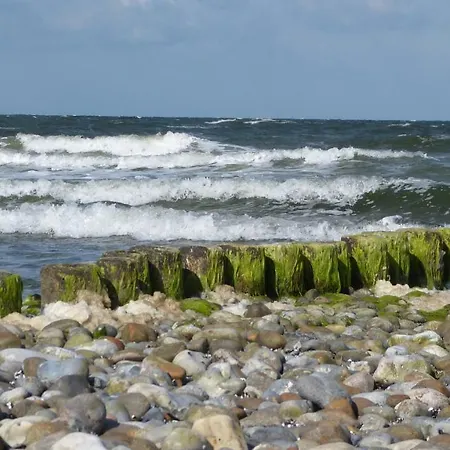 Ferienwohnung 2, Neuendorf - Hiddensee *